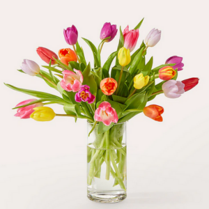 Let's Talk Tulips