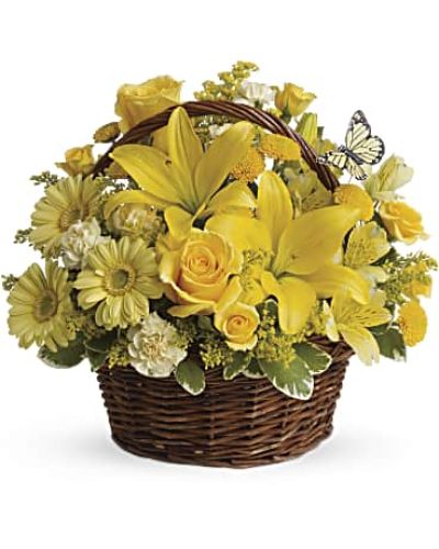 <div class="m-pdp-tabs-description">
<div id="mark-1" class="m-pdp-tabs-marketing-description">Wishes do come true, by the basketful, actually. This delightful arrangement is so full of sunny blossoms, it even includes a pretty yellow butterfly who obviously feels right at home, basking in the warmth.</div>
</div>
<p id="arrngDescp">Brilliant yellow spray roses, asiatic lilies, miniature gerberas, carnations, alstroemeria, button spray chrysanthemums and delightful greenery are joined by a delicate butterfly in an oval basket. It's a basket of wonder and wishes!</p>